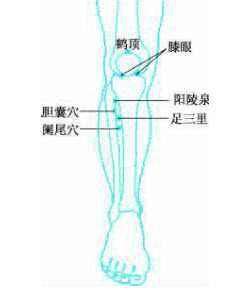 鶴頂穴位置|《腧穴學》經外奇穴匯總